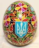 Chicken EGG,ukrainian egg with Tridint