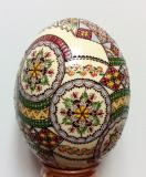 Ostrich Easter Egg,Raised Wax